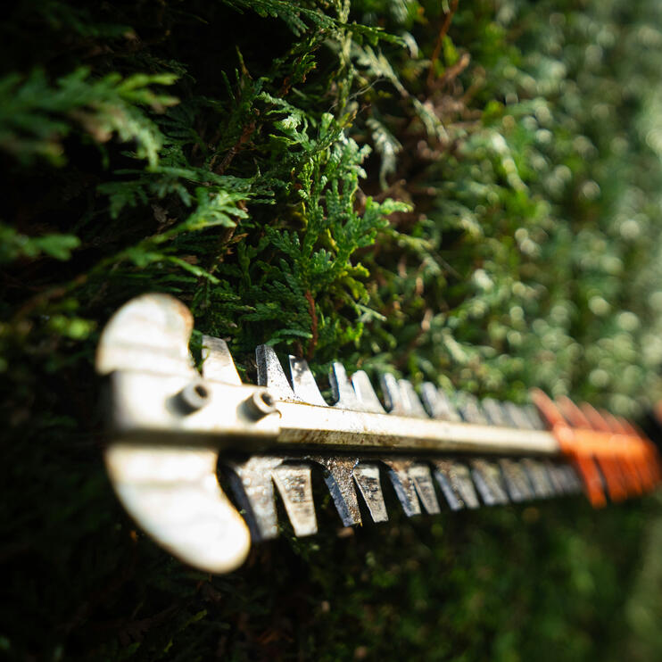 Open-Range Manure Compost | Native Biochar | Microbial Life